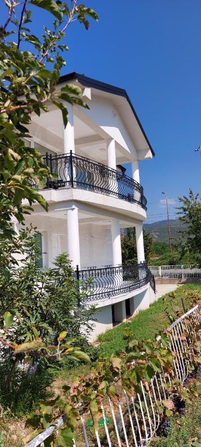Villa Bratislava Demir Kapija Exterior photo